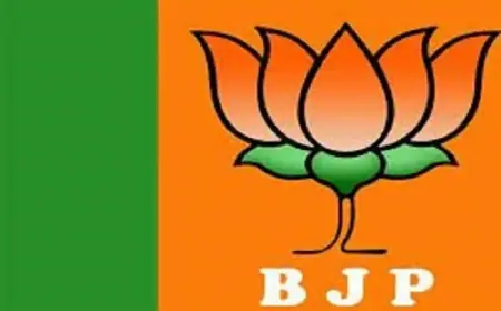 हरदोई में रवि वाल्मीकि बने भाजपा अनुसूचित जाति मोर्चा के जिलाध्यक्ष, पहली बार वाल्मीकि समाज को मिला मौका
